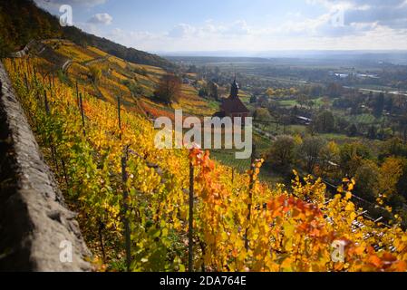 Dresden, Deutschland. November 2020. Die evangelische Weinbergkirche "zum Heiligen Geist" ist umgeben von herbstlichen Weinblättern im Dresdner Stadtteil Pillnitz. Quelle: Robert Michael/dpa-Zentralbild/dpa/Alamy Live News Stockfoto