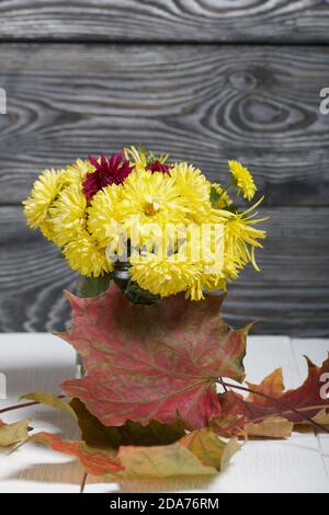 Bouquet von gelben Chrysanthemen. In der Nähe Herbstblätter. Nahaufnahme. Stockfoto