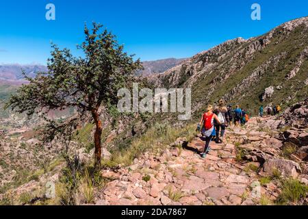 Der restaurierte Inka Trail Camino de Inca zwischen Chataquila und Chaunaca, Gemeinde Sucre, Anden, Bolivien, Lateinamerika Stockfoto