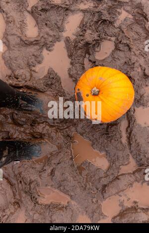 Eine Nahaufnahme eines orangefarbenen Kürbiss, der darin sitzt Ein schlammiges Feld an einem kalten Herbsttag mit Schwarz Gummistiefel neben ihnen Stockfoto