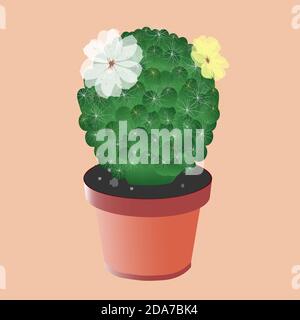 Ein grauer Kaktus, wie eine Blume, ein Blick von oben. Stock Vektor