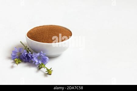 Zichorien-Wurzelpulver und blaue Zichorien-Blume auf weißem Hintergrund. Natürlicher Kaffee-Ersatz. Cichorium intybus. Speicherplatz kopieren. Seitenansicht. Stockfoto