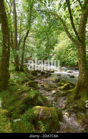 Ein Gebirgsbach im Lake District Nationalpark, Cumbria, Nordengland, Großbritannien, GB. Stockfoto