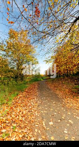 Herbstfarben im Figgate Park, Edinburgh, Schottland, Großbritannien Stockfoto