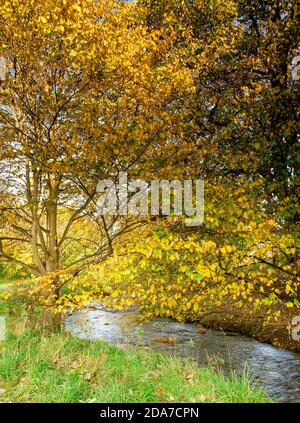 Figgate Burn führt den ganzen Weg nach Portobello, Edinburgh, Schottland, Großbritannien Stockfoto