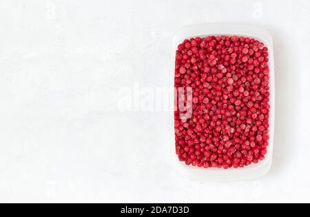 Gefrorene rote Johannisbeere in einem Behälter auf weißem Hintergrund. Lagerung von Tiefkühlkost. Speicherplatz kopieren. Draufsicht, flach liegend. Stockfoto