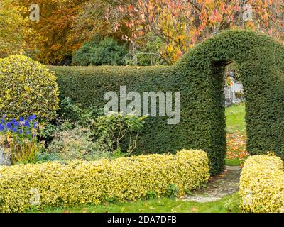 Hedge Garden mit Arch, Englefield House Garden, Englefield Estate, Englefield, Berkshire, England, Großbritannien, GB. Stockfoto