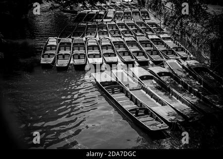 Boote von Magdalen Bridge Boathouse auf dem Cherwell in Oxford dockten viele Boote in Reihen aneinander. Helle und bunte Gruppe von langen Booten Stockfoto