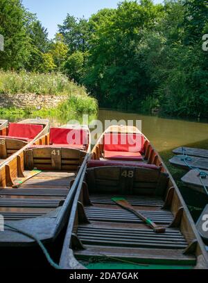 Boote von Magdalen Bridge Boathouse auf dem Cherwell in Oxford dockten viele Boote in Reihen aneinander. Helle und bunte Gruppe von langen Booten Stockfoto