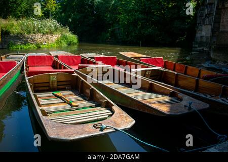 Boote von Magdalen Bridge Boathouse auf dem Cherwell in Oxford dockten viele Boote in Reihen aneinander. Helle und bunte Gruppe von langen Booten Stockfoto