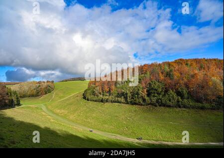 Arundel West Sussex UK 10. November - Wanderer genießen die warme Sonne und schöne Herbstfarben rund um Arundel Park in West Sussex heute als der Südosten in wärmeren als normale Temperaturen für die Zeit des Jahres baden . : Credit Simon Dack / Alamy Live News Stockfoto