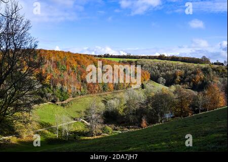 Arundel West Sussex UK 10. November - Wanderer genießen die warme Sonne und schöne Herbstfarben rund um Arundel Park in West Sussex heute als der Südosten in wärmeren als normale Temperaturen für die Zeit des Jahres baden . : Credit Simon Dack / Alamy Live News Stockfoto