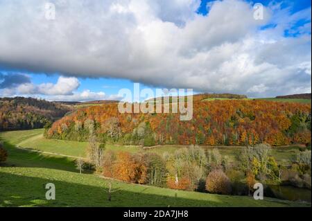 Arundel West Sussex UK 10. November - Wanderer genießen die warme Sonne und schöne Herbstfarben rund um Arundel Park in West Sussex heute als der Südosten in wärmeren als normale Temperaturen für die Zeit des Jahres baden . : Credit Simon Dack / Alamy Live News Stockfoto