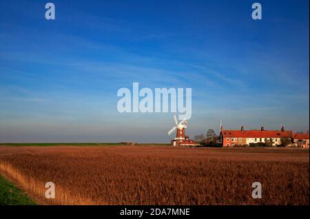 Ein Blick auf Cley Windmill über Schilfbetten im Herbst an der Nord-Norfolk-Küste bei Cley Next the Sea, Norfolk, England, Vereinigtes Königreich. Stockfoto