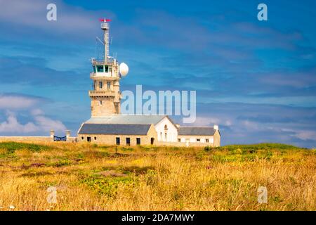 POINTE DU RAZ, BRETAGNE, FRANKREICH: Blick auf den Leuchtturm an der Spitze des Kap Raz, wo die Büsche blühen. Stockfoto