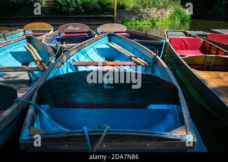 Oxford, UK 23/06/20: Stechboote von Magdalen Bridge Bootshaus auf dem Cherwell in Oxford, viele Boote in Reihen angedockt. Hell und farbenfroh