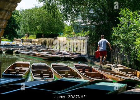 Oxford, UK 23/06/20: Stechboote von Magdalen Bridge Bootshaus auf dem Cherwell in Oxford, viele Boote in Reihen angedockt. Hell und farbenfroh Stockfoto