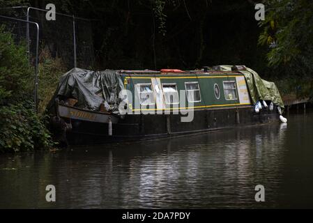 Ein Narrowboot liegt am wunderschönen Basingstoke Canal Odiham in Hampshire Stockfoto