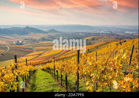 Weinberge zwischen Kappelberg und Rotenberg in Stuttgart - schöne Landschaft im Herbst - Luftbild über Neckartal, Baden-Württemberg, G Stockfoto