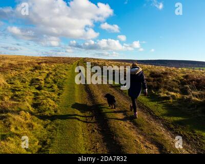 Teenager-Mädchen, die einen Cocker Spaniel Hund auf Beeley Moor zu Fuß Im Derbyshire Peak District England Stockfoto