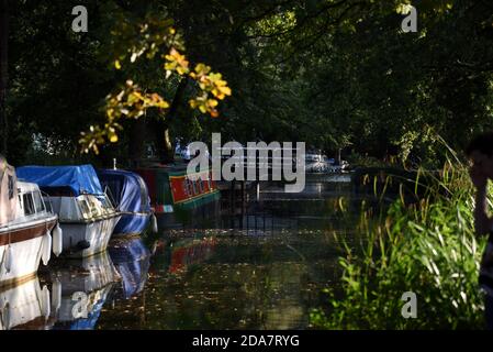 Kanalboote liegen am wunderschönen Basingstoke Canal bei Mytchett In Surrey Stockfoto