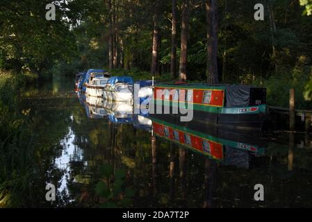 Kanalboote liegen am wunderschönen Basingstoke Canal bei Mytchett In Surrey Stockfoto