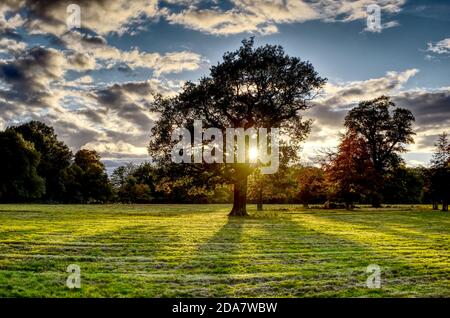 Die Sonne untergeht hinter einem Baum in der Nähe von Windsor am Ende eines hellen Herbsttages Stockfoto