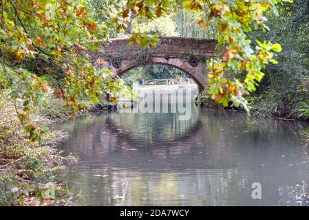 Die Gerstenmähbrücke spiegelt sich in den stillen Gewässern wider Des schönen Basingstoke Canal bei Dogmersfield in Hampshire Stockfoto