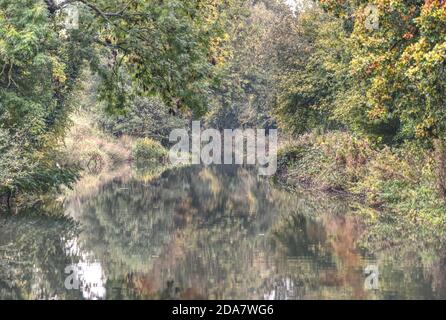 Herbstfarben spiegeln sich in den perfekt ruhigen Gewässern der Wunderschöner Basingstoke Canal in der Nähe von Dogmersfield Stockfoto