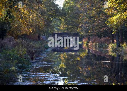 Eine Brücke über den schönen Basingstoke Kanal bei Pirbright in Surrey an einem ruhigen Herbsttag Stockfoto