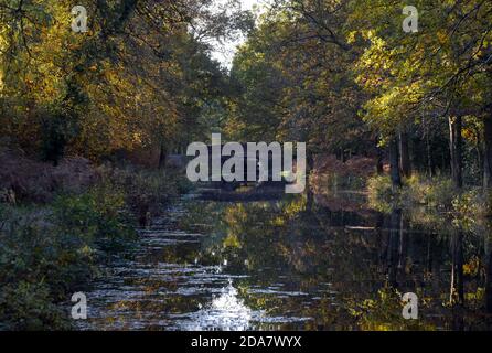 Eine Brücke über den schönen Basingstoke Kanal bei Pirbright in Surrey an einem ruhigen Herbsttag Stockfoto