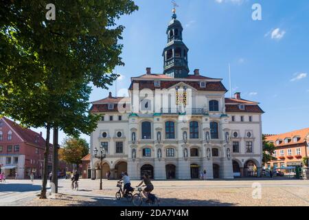 Lüneburg: Rathaus, Lüneburger Heide, Lüneburger Heide, Niedersachsen, Deutschland Stockfoto