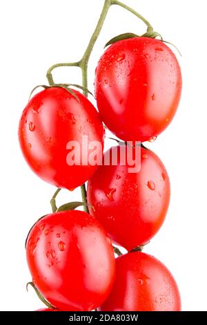 Cherry Tomatoes close-up isoliert Stockfoto