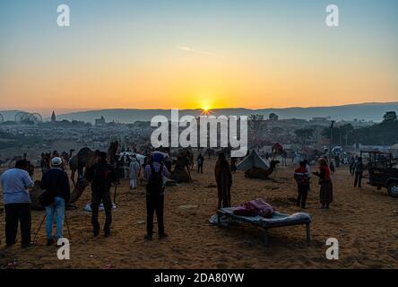 Silhouette des Kamels gegen das goldene Licht des Sonnenaufgangs bei pushkar Kamel Festival. Stockfoto