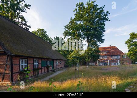 Wilsede: Reetdachhaus des Heidemuseums DAT ole Huus (links), ein typisches Fachwerkhaus, Lüneburger Heide, Lüneburger Heide, Stockfoto