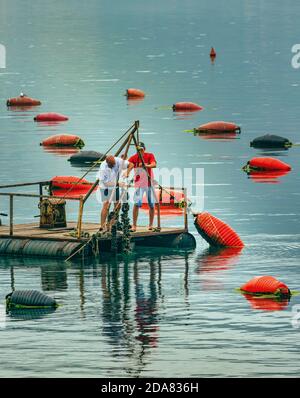 Orahovak, Montenegro. Fischer auf einem motorisierten Lastkahn, der in einer Muschelfarm an Seilen wachsende Miesschnur kontrolliert. Aquakultur, Aquakultur, Stockfoto