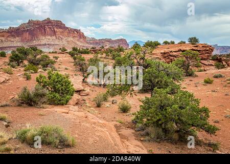 Canyons und erodierte Sandstein- und Kalksteinformationen dominieren die Landschaft im Capitol Reef National Park in Utah. Stockfoto