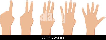 Zählt von eins bis fünf. Realistische Menschen Hände Gesten. Die Abbildung des Cctors ist auf weißem Hintergrund isoliert Stock Vektor