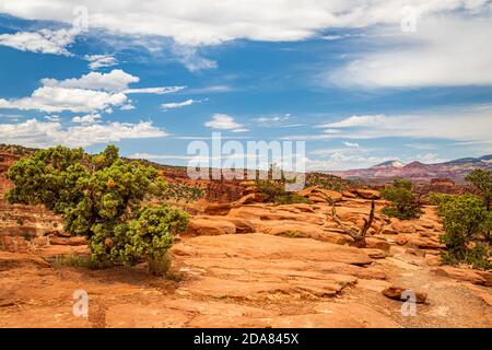 Canyons und erodierte Sandstein- und Kalksteinformationen dominieren die Landschaft im Capitol Reef National Park in Utah. Stockfoto