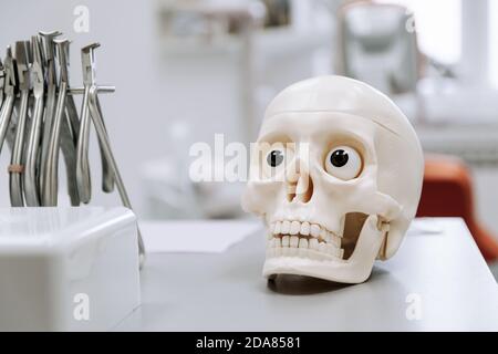 Nahaufnahme eines Satzes von medizinischen Werkzeugen und einem künstlichen Schädel im Zimmer eines Arztes Stockfoto