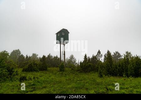Jagdhütte und Beobachtungsposten, Berg Tara, Straße nach Fort Solotnik, schöner Wald, hohe Vegetation und Morgennebel Stockfoto