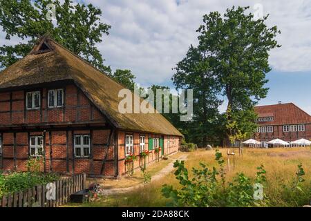 Wilsede: Reetdachhaus des Heidemuseums DAT ole Huus (links), ein typisches Fachwerkhaus, Lüneburger Heide, Lüneburger Heide, Stockfoto