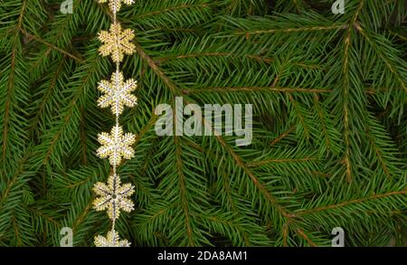 Weihnachtsbaum Zweige Hintergrund mit goldenen Schneeflocken Grenze und kopieren Raum. Nahaufnahme von Tannenzweigen. Stockfoto