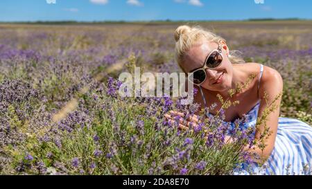 Glückliches Mädchen auf einem Lavendel Feld mit charismatischen Auftritt Sonnenbrille Freudig mit weißer Haut steht Stockfoto