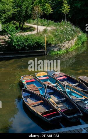 Oxford, UK 23/06/20: Stechboote von Magdalen Bridge Bootshaus auf dem Cherwell in Oxford, viele Boote in Reihen angedockt. Hell und farbenfroh Stockfoto