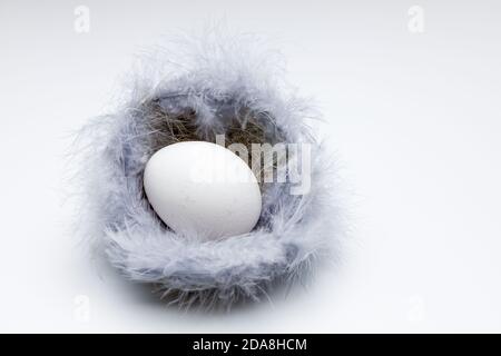 Draufsicht auf ein weißes Ei in einem osternest aus Gras Strohhalmen mit violetten Daunenfedern auf weißem und gleichmäßigem Hintergrund. Stockfoto