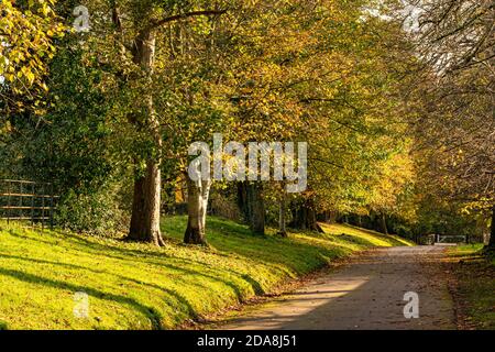 Ein Blick auf die Gasse bis zur Findon Village Church und auch ein Teil des Monarch's Way Fernwanderweg - Findon, West Sussex, UK. Stockfoto