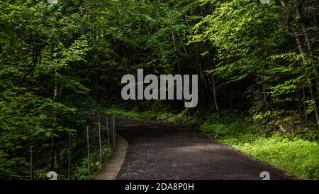 Ste-Anne Cayon, Kanada - August 21 2020: Der Wald in Ste-Anne Cayon in Quebec Stockfoto