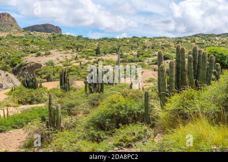 Kleines Dorf von Candelaria, Departemento Sucre, Bolivien, Lateinamerika Stockfoto