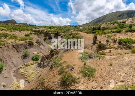 Kleines Dorf von Candelaria mit seinem kleinen lokalen Museum (links), Departemento Sucre, Bolivien, Lateinamerika Stockfoto